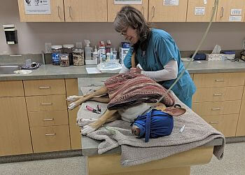 Saanich veterinary clinic Breadner Veterinary Services