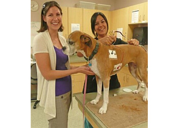 Saanich veterinary clinic Breadner Veterinary Services
