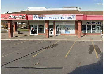 Mississauga
Cliniques Vétérinaires
BRISTOL VETERINARY HOSPITAL image 1