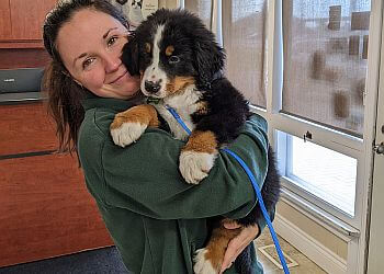 Whitby veterinary clinic Brooklin Veterinary Hospital