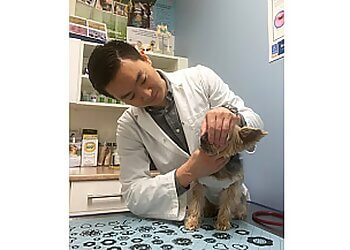 Port Coquitlam veterinary clinic Burkeview Animal Hospital