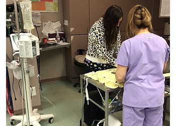 Burlington veterinary clinic Burlington Veterinary Emergency & Referral Hospital