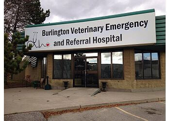 Burlington veterinary clinic BURLINGTON VETERINARY EMERGENCY AND REFERRAL HOSPITAL image 1