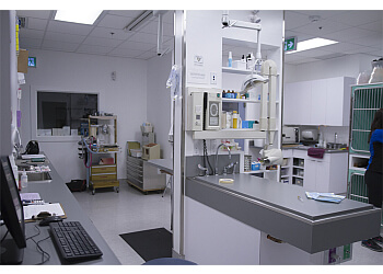 Coquitlam veterinary clinic Burquitlam Animal Hospital