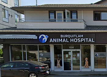 Coquitlam veterinary clinic Burquitlam Animal Hospital image 1