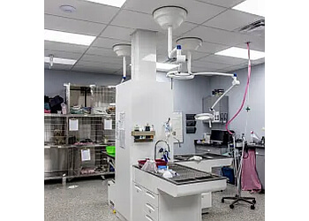 Kelowna Cliniques Vétérinaires Burtch Animal Hospital