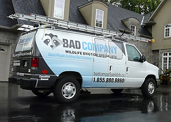 Bad Company Wildlife Eviction Bad Company Wildlife Eviction - Hamilton, ON Élimination Des Animaux - Service Vehicle Image
