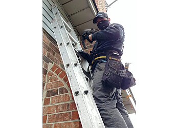 Hamilton animal removal Bad Company Wildlife Eviction Inc.