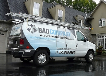 Bad Company Wildlife Eviction Inc.