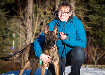 Stratford dog trainer Bad Dogs Gone Good Dog Training Services