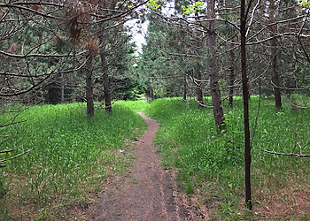 Newmarket hiking trail Bailey Ecological Park