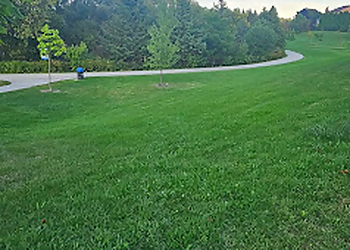 Newmarket hiking trail Bailey Ecological Park
