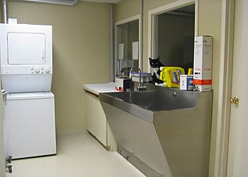 Baker Animal Clinic - Whitby, ON Veterinary Clinics - Treatment Room Image
