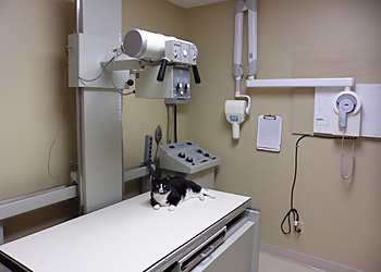 Baker Animal Clinic - Whitby, ON Veterinary Clinics - Medical Equipment Image