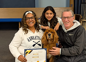 Halton Hills dog trainer Balanced K9