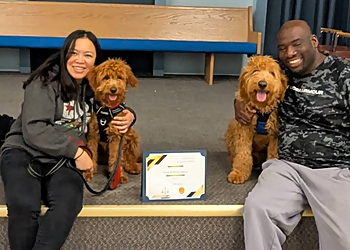 Halton Hills dog trainer Balanced K9