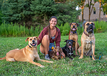 Richmond Hill Dresseurs De Chiens Balanced Paw