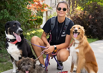 Richmond Hill dog trainer Balanced Paw