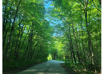 Kawartha Lakes hiking trail Balsam Lake Provincial Park