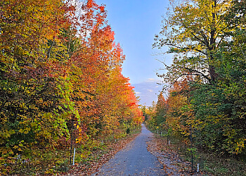 Kawartha Lakes hiking trail Balsam Lake Provincial Park