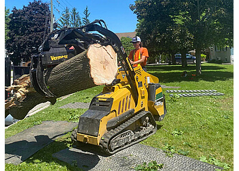 Kawartha Lakes tree service Bannister Tree Service