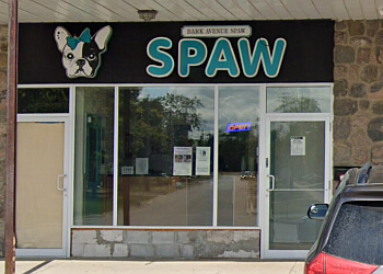 Brampton pet grooming Bark Avenue Spaw image 1