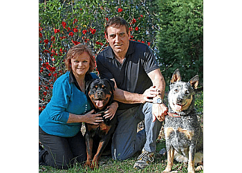Edmonton dog trainer Bark Busters