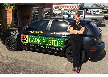 3 Best Dog Trainers in Hamilton, ON - ThreeBestRated