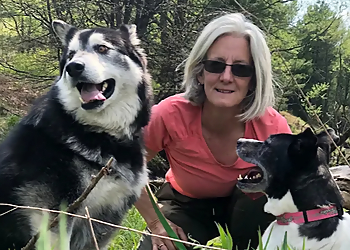 Bark Busters - North Bay, ON Dog Trainers - Dog Training Session Image
