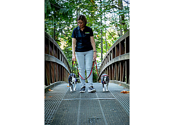 Port Coquitlam dog trainer Bark Busters