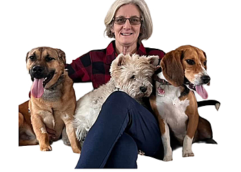 Sudbury dog trainer Bark Busters