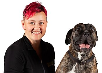 Hamilton dog trainer Bark Busters Hamilton