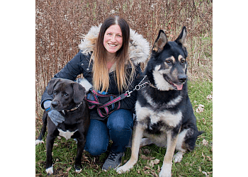 Chatham dog trainer Bark Busters Windsor Chatham