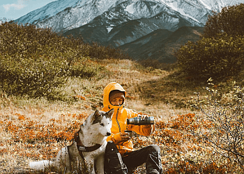 Chatham dog trainer Bark Busters Windsor Chatham