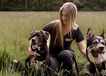 Chatham dog trainer Bark Busters In Home Dog Training