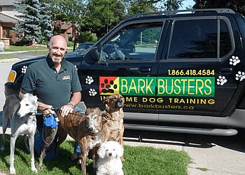 Kitchener Dresseurs De Chiens Bark Busters In Home Dog Training