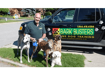 Bark Busters In Home Dog Training