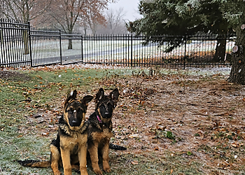 Milton dog trainer Bark Busters In-Home Dog Training