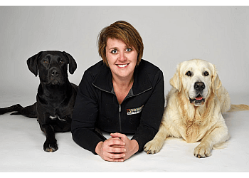 Bark Busters In Home Dog Training