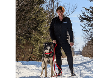 Sudbury Dresseurs De Chiens Bark Busters