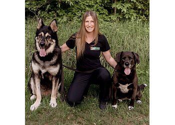 Windsor dog trainer Bark Busters In Home Dog Training