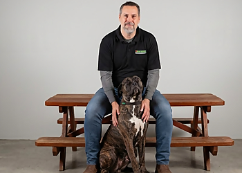 Bark Busters Mississauga Bark Busters Mississauga - Mississauga, ON Dog Trainers - Dog Trainer Image