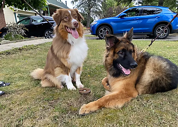 Bark Busters Rive-Nord - Repentigny, QC Dog Trainers - Dog Training Session Image