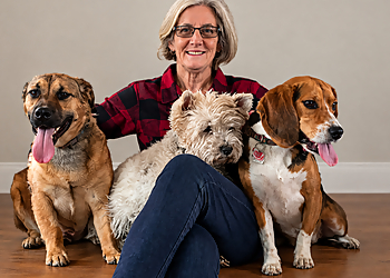 Bark Busters Sudbury - Sudbury, ON Dresseurs De Chiens - Training Staff Image