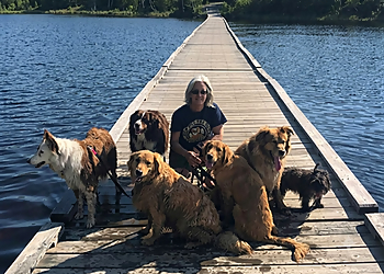 Bark Busters Sudbury - Sudbury, ON Dresseurs De Chiens - Dog Trainer Image