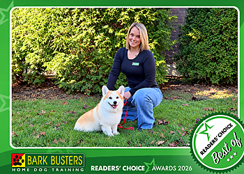 Bark Busters York Region - Newmarket, ON Dog Trainers - Dog and Owner Image