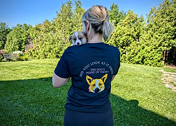 Bark Busters York Region - Newmarket, ON Dog Trainers - Trainer and Dog Image