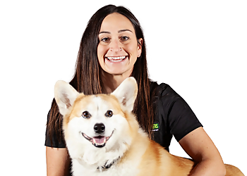 Newmarket dog trainer Bark Busters York Region 