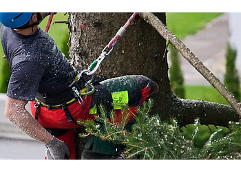 Ajax tree service Bark Tree Service  image 1