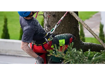 Bark Tree Service 